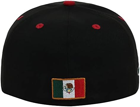 טבעות וקרונס מקסיקו מדינה גאווה לוגו מצויד שטוח ביל כובע