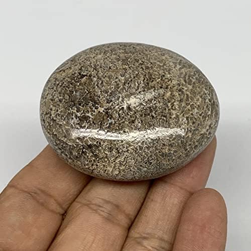 63.2 גרם, 2.1 x1.8 x0.7 טבעי לא מטופל דינוזאור עצם עצם אבן דקל אבן צורה מלוטשת @morocco, קריסטל אנרגיה רייקי, מטאפיזי,