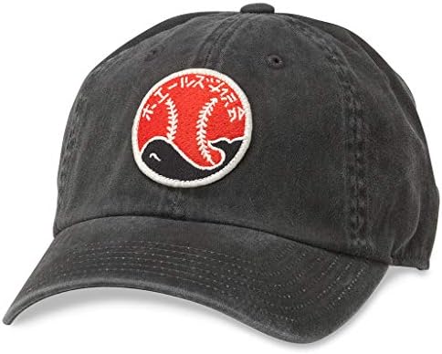 אמריקאי מחט ניפון יפני מקצועי ליגת בייסבול אבא כובע