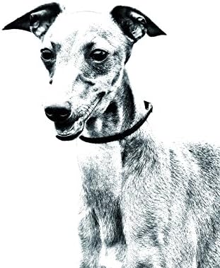 אזוואך, מצבה סגלגלה מאריחי קרמיקה עם תמונה של כלב