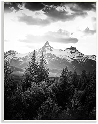 תעשיות סטופל רכס הרים מעונן שמים נוף צילום עץ גבוה, מעוצב על ידי לוח הקיר של דניאל ספול, 10X15, אפור