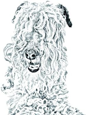 לייקלנד טרייר, מצבה סגלגלה מאריחי קרמיקה עם תמונה של כלב
