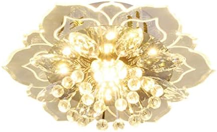 CXDTBH LED גביש זכוכית תקרה אור פרח צורה מנורת תקרה צבעונית אור למעבר מסדרון הסלון החם