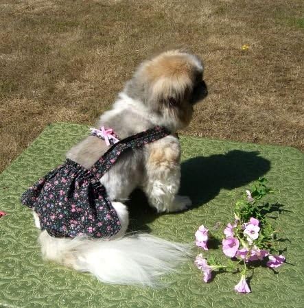 Joybies חצאית פידל פרחונית עבור X כלב נקבה קטן