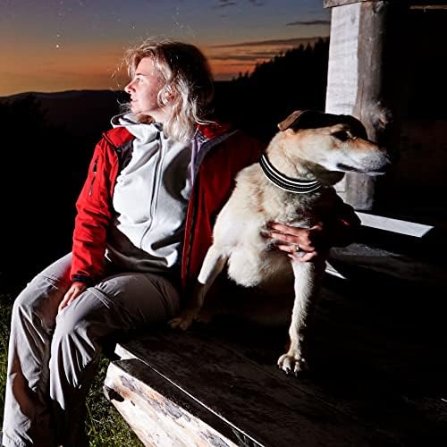 מחזיק תגי אוויר של צווארון כלבים Maidek - מחזיק גשש GPS כבד וטיטניום עבה, ניילון רפלקטיבי - עין לעיסה, תג צווארון