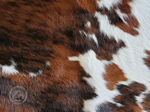 שטיח מיני פרה מקורי Tricolor שיער קטן על פרה מסתור 24 x 35 אינץ '90 x 60 סמ