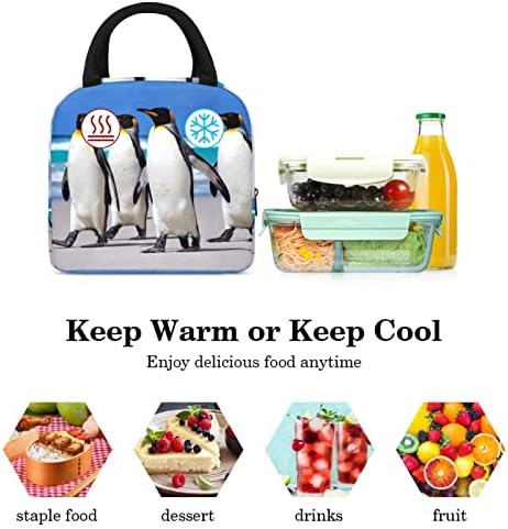חוף פינגווין צבע הצהריים תיק מבודד הצהריים תיבת פיקניק תיק חיצוני בית ספר נסיעות מזון מיכל קריר לשאת שקיות עבור גברים נשים