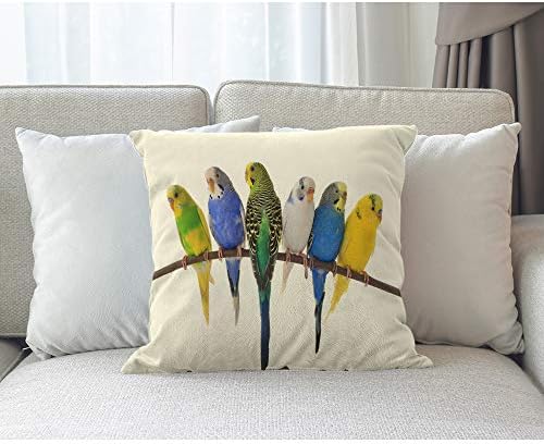 ציפור מוסליון 18x18 אינץ 'מארז צבעוני צבעוני צבעים אוסטרלים זורקים כיסוי כרית דקורטיבי כרית כרית פשתן בד לנשים