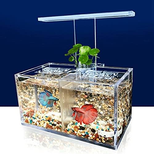 DLVKHKL אקווריום LED מיכל דגים אקרילי סט מיני שולחני שולחן עבודה קלים משאבת מים מסננים