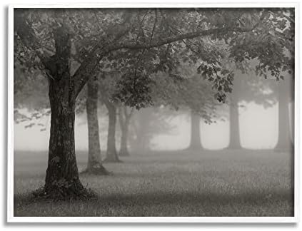 תעשיות סטופליות עצים ערפיליים שלווים מונוכרום שדה, עיצוב מאת ניקולס בל