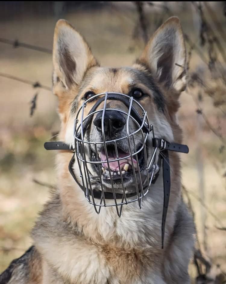 ברונזה כלב חוט כלב לוע רועה גרמנית עבור בינוני גדול כלבים מתכוונן עמיד מתכת סל לנשוך לעיסת נביחות