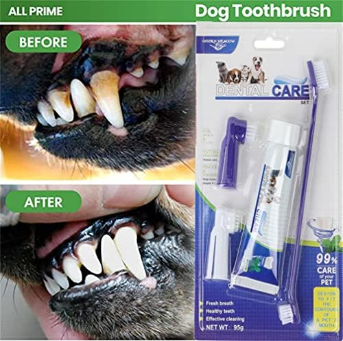 ערכת מברשת שיניים לכלבים, סט 4 חלקים עם מברשת אצבעות משחת שיניים, ניקוי שיני חתול, טיפול שיניים אוראלי לחיות מחמד מברשת
