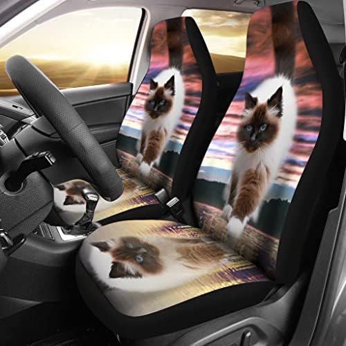 מדהים הליכה ההימלאיה חתול הדפסת רכב מושב מכסה כושר אוניברסלי רכב מושב מכסה-מדהים הליכה ההימלאיה חתול הדפסת רכב מושב מכסה