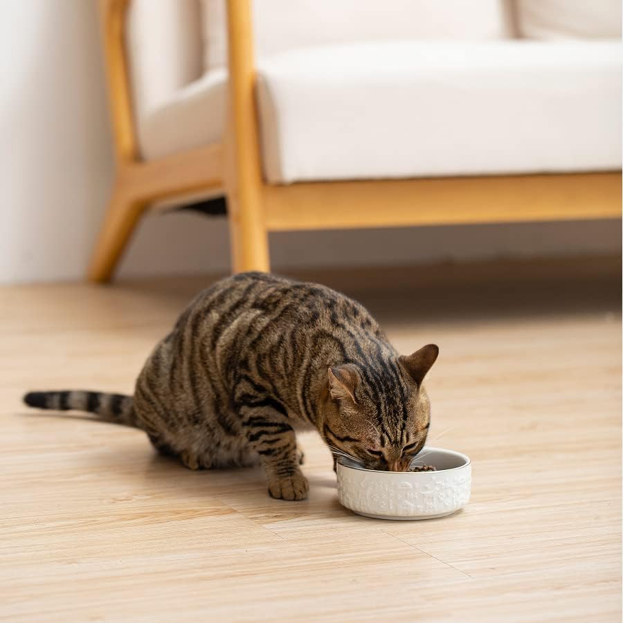 פורצלן כלב וחתול מים ומזון קערת סט של 2 קל לניקוי מדיח כלים ומיקרוגל בטוח