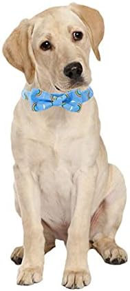 צווארון כלבים של FeiMax עם עניבת פרפר ניתנת לניתוק, צווארון מודפס של חיית מחמד נשימה רכה לכלבים גדולים, צוואר 15.7-23.6