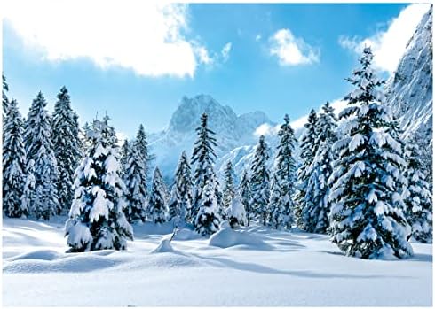 8 * 6 רגל שלג אשוח יער רקע כחול שמיים שלג הר קפוא תפאורות חג המולד תמונה רקע שלג רקע דה-214