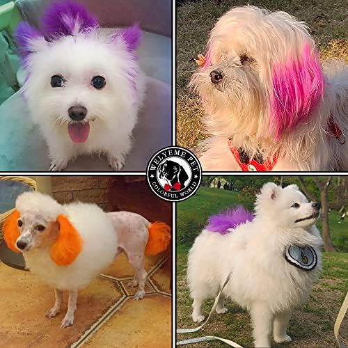 צבע שיער של כלב/חיית מחמד צבע קשת, צבע שיער כלב/חתול צבע צבע, צבע פרווה בטוח לא רעיל, ערכת צבע קבוע של שיער/חיה.