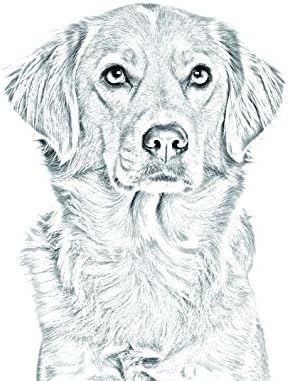 נובה סקוטיה ברווז טולינג רטריבר, מצבה אובלית מאריחי קרמיקה עם תמונה של כלב