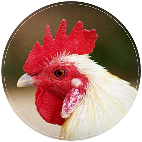Heoeh תרנגול לבן קוקסקומב של בעלי חיים, שפשפת ללא החלקה 15.7 שטיחי שטיחים שטיחים שטיחים לילדים לילדים חדר שינה חדר